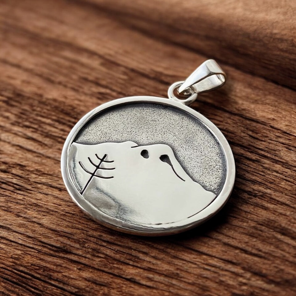 COLGANTE VOLCÁN LLAIMA