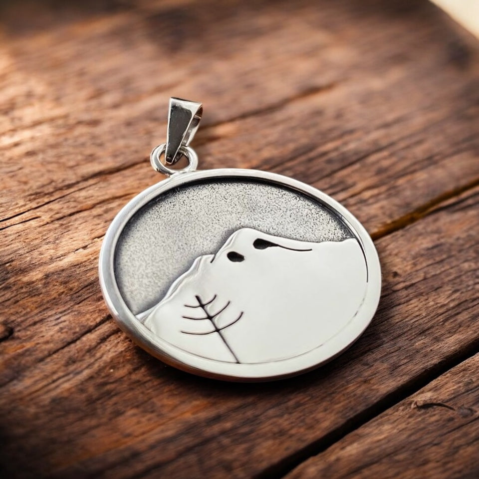 COLGANTE VOLCÁN LLAIMA