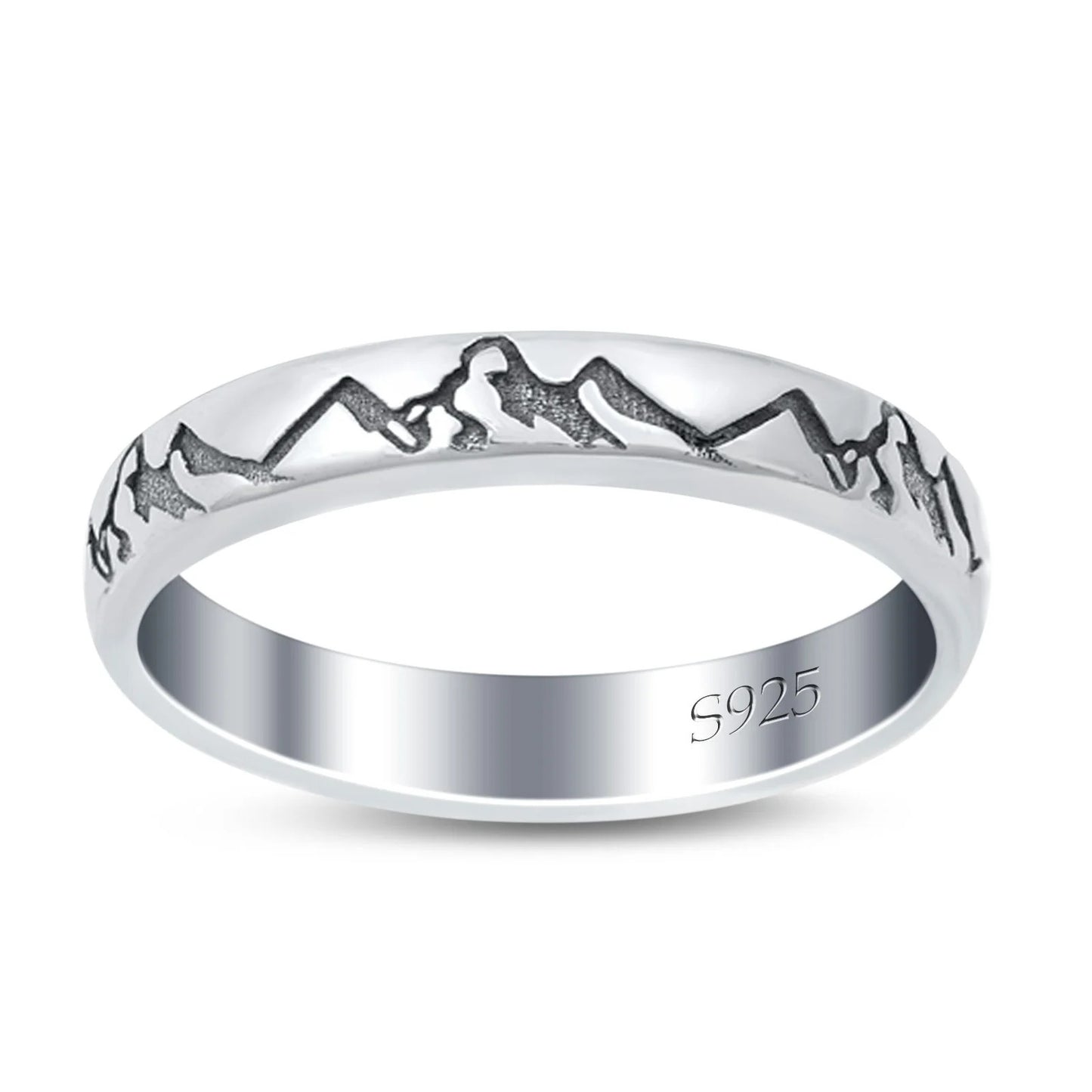 ANILLO CORDILLERA DE LOS ANDES