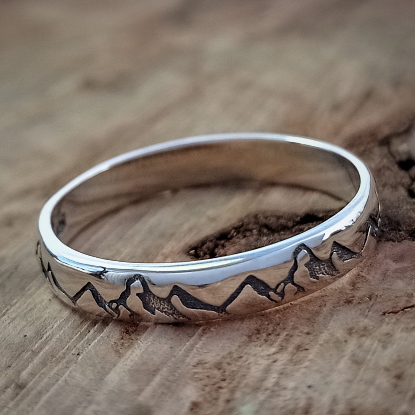 ANILLO CORDILLERA DE LOS ANDES